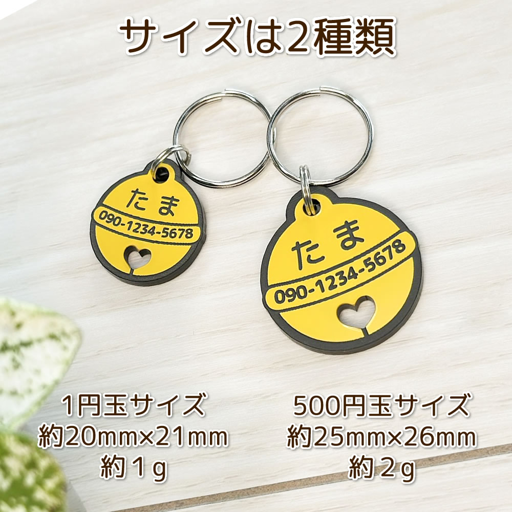 サイズは2種類
