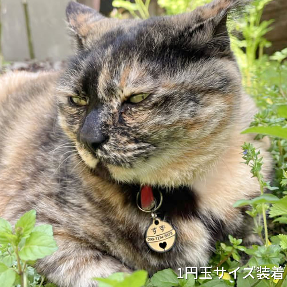 着用例