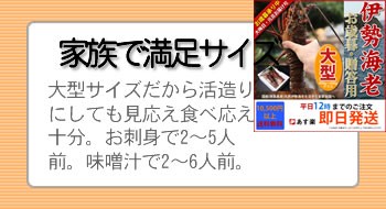 家族で満足サイズ