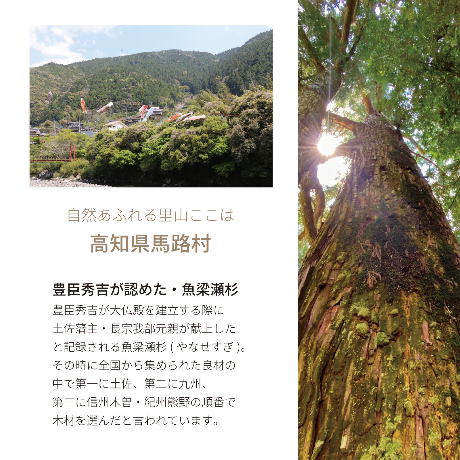 梁瀬の杉でできた孫うちわ