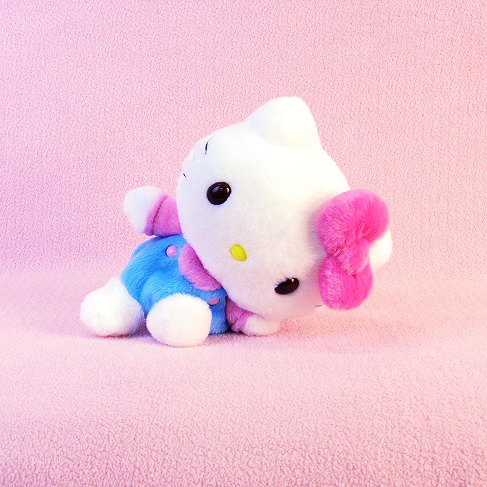 sanrio サンリオキャラクターズ ハローキティ ふわくた