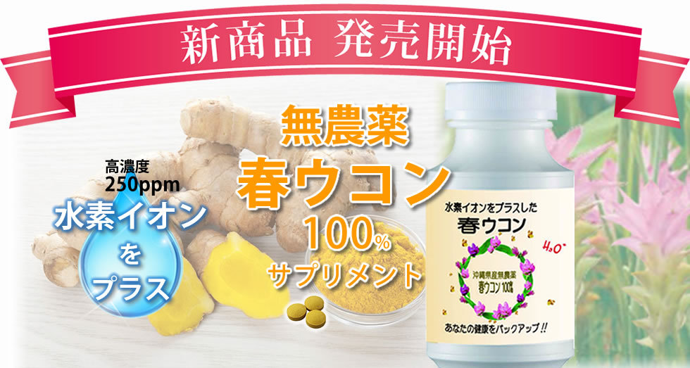 最大49%OFFクーポン とばない水素イオンの春ウコン
