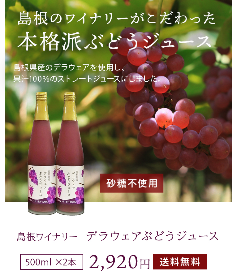ぶどうジュース 100パーセント ストレート デラウェア 500ml×2本 島根