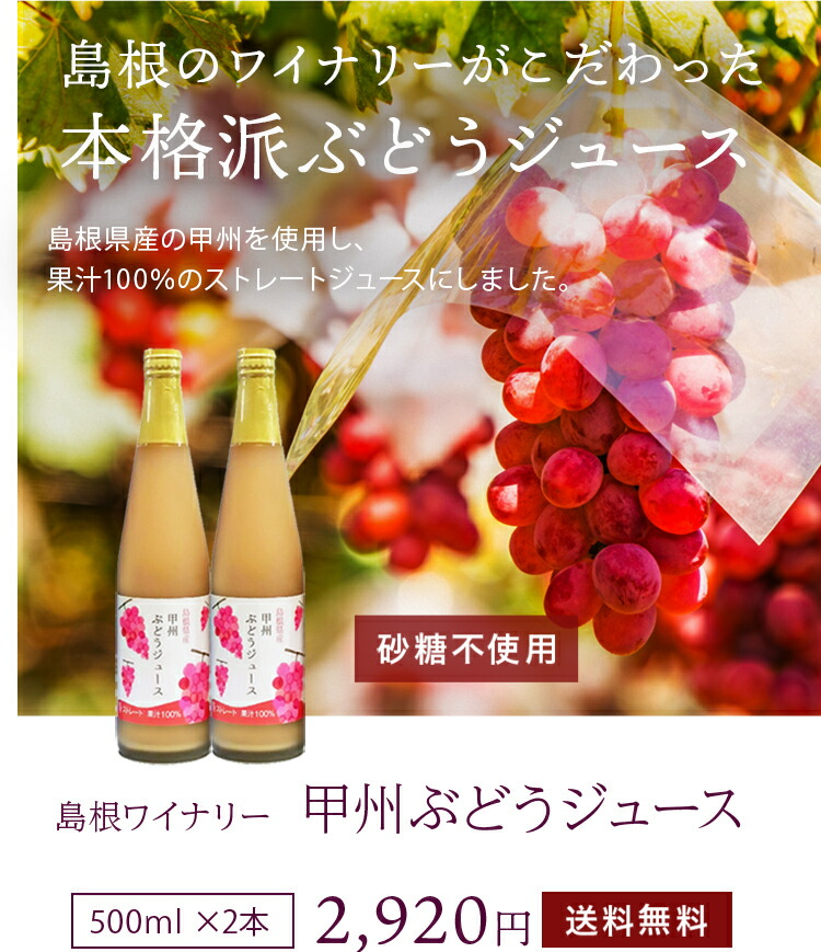 ぶどうジュース 100パーセント ストレート 甲州 500ml×2本 島根