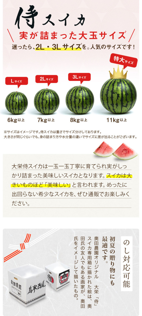 植木産　すいか　10㎏　特大サイズ 楽天市場】○【楽天 1位受賞】植木スイカ Lサイズ 1玉 6~7kg 最