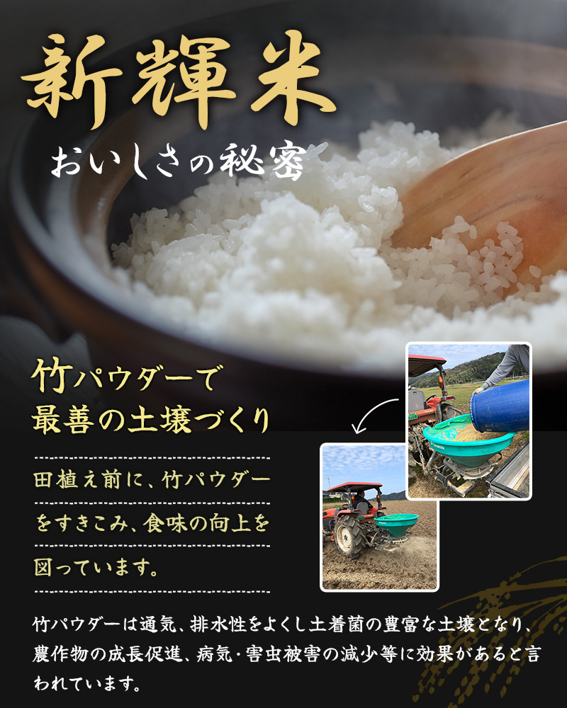 米5kg 令和6年産 シンキ 天日干し新輝米コシヒカリ5kg 日本棚田