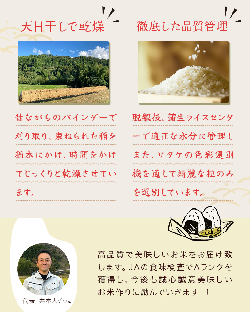 米5kg 令和6年産 シンキ 天日干し新輝米コシヒカリ5kg 日本棚田