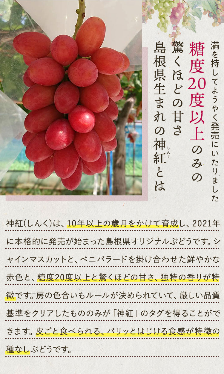 Ｇステラ　紅はるかと大粒シャインマスカット splpbenishine1a.jpg