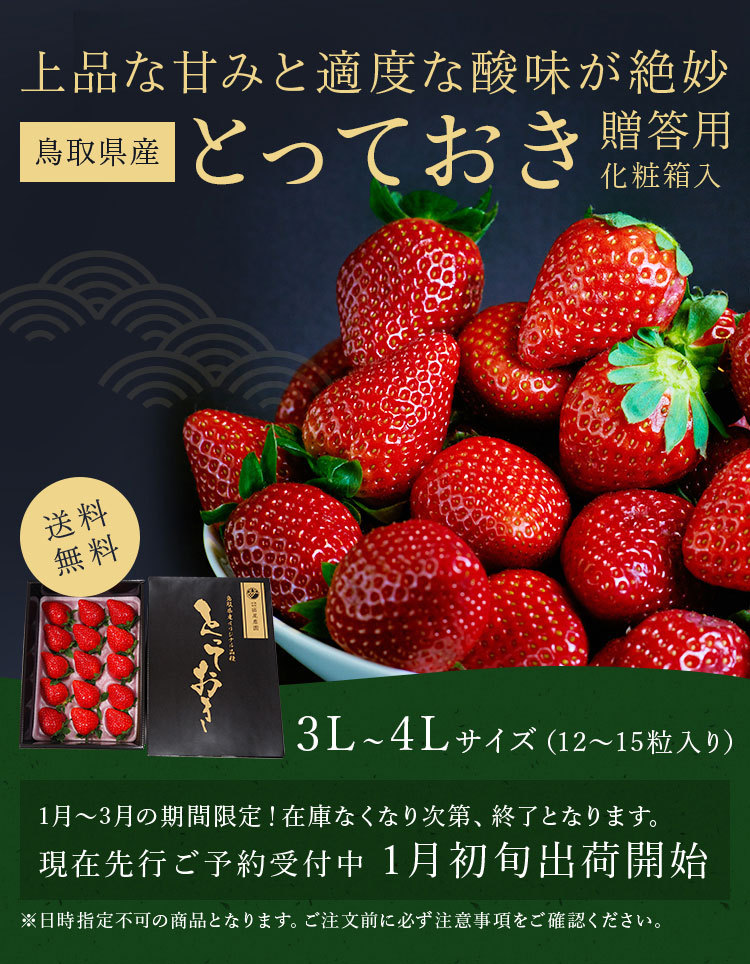 鳥取県オリジナルいちご「とっておき」贈答用 3L〜4L 12粒〜15粒