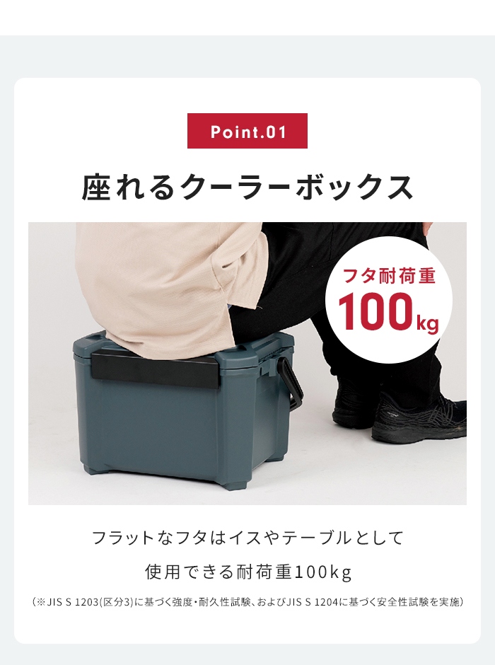 値下げ更新！！コンパクトクーラー グレー 値下げ 座れる クーラーボックス 12L インディゴグレー 日本製