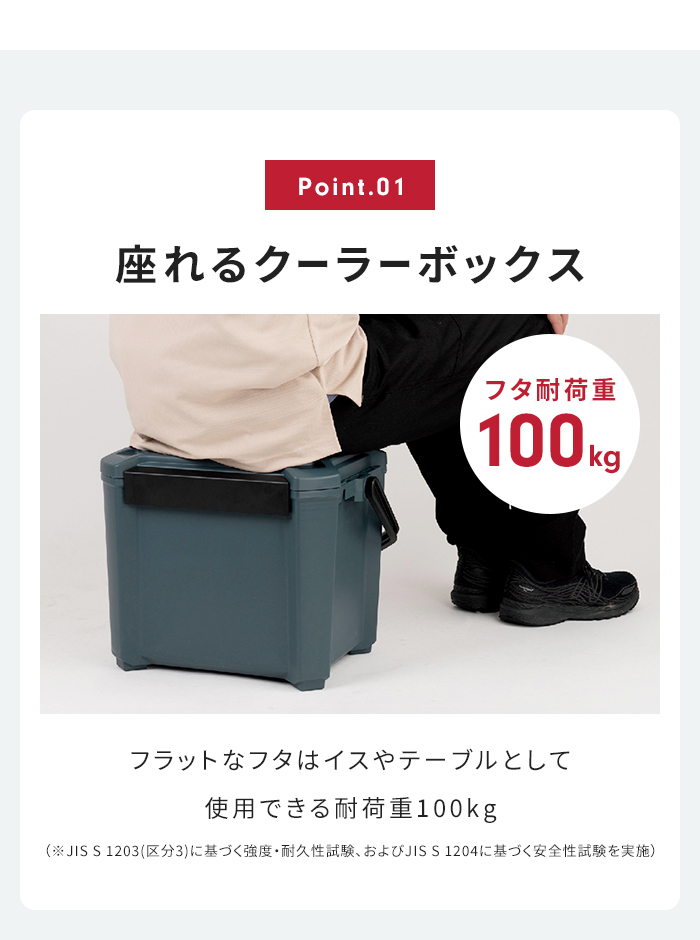 値下げ 座れる クーラーボックス 16L インディゴグレー 日本製