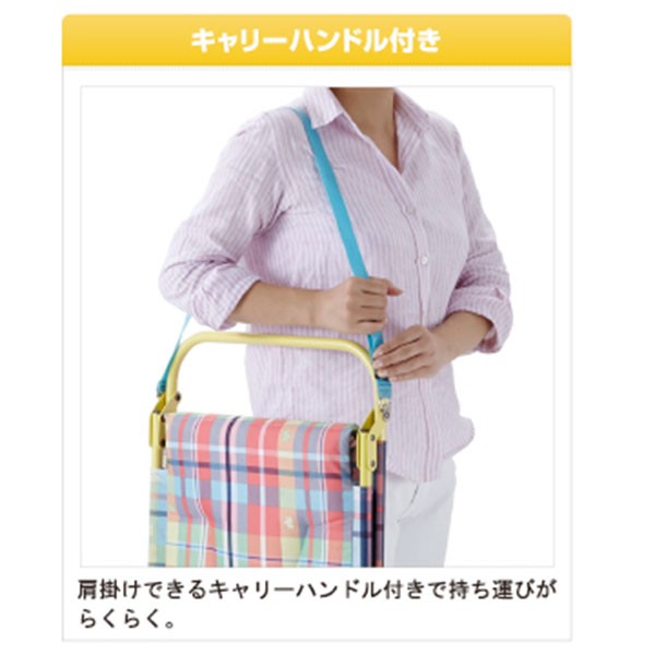 お洒落　ロゴス　チェッカー パッドイングランドチェア 2個セット Amazon.co.jp: ロゴス アウトドアチェア チェッカー パッド