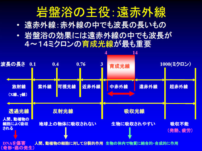 育成光線について