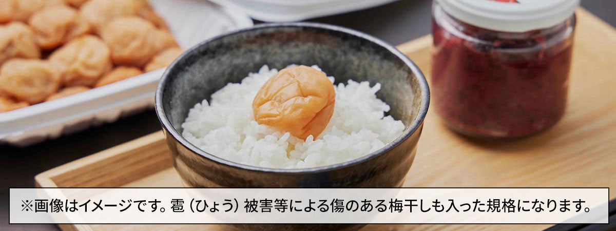 愛須食品 和歌山県産 紀州南高梅 梅干家あいす 本気のすっぱい梅干し