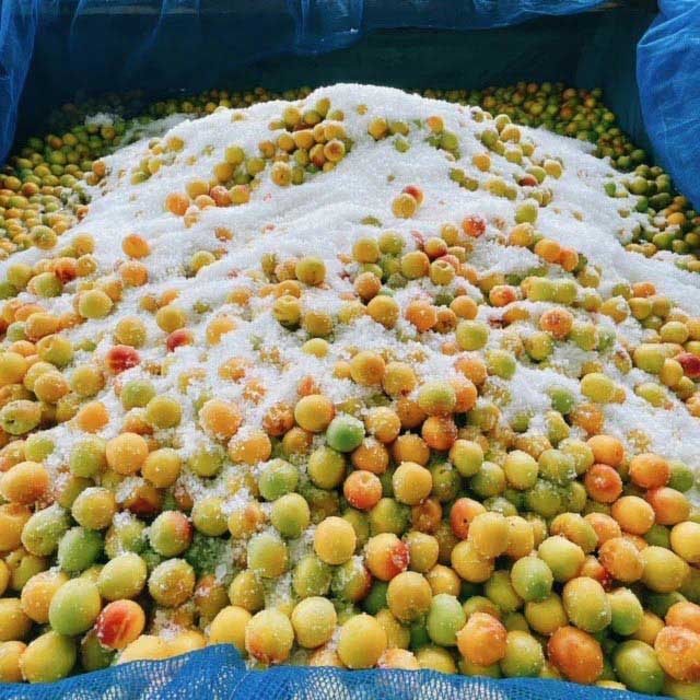 愛須食品 和歌山県産 紀州南高梅 梅干家あいす 本気のすっぱい梅干し