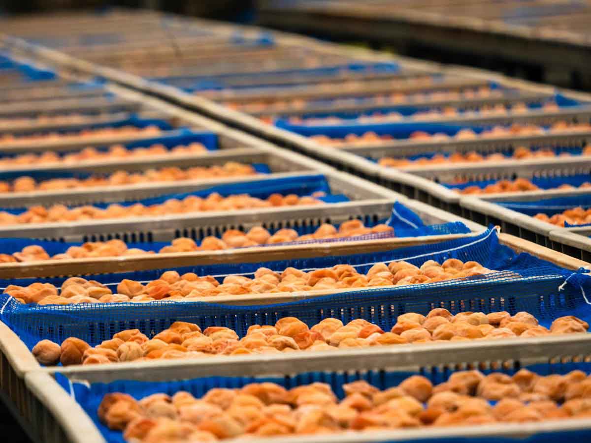 愛須食品 和歌山県産 紀州南高梅 梅干家あいす 本気のすっぱい梅干し