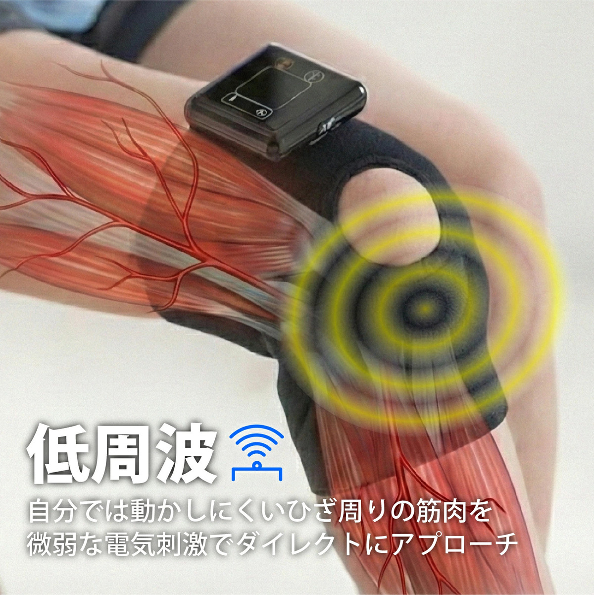 惣田製作所 Medi Labo（メディラボ） ひざラク