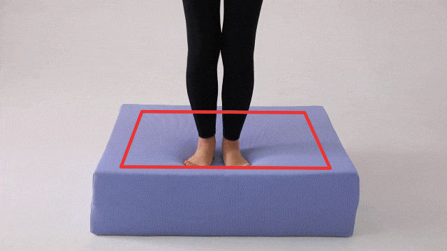 ピーエーエス TOVOCCA（トボッカ） ホームフィットネスクッション