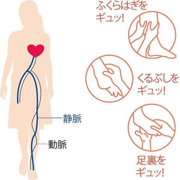 オファー ギロファ ウール混ソックス