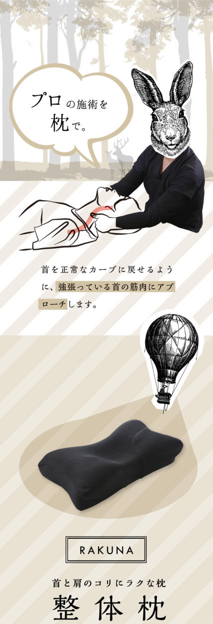 アメイズプラス RAKUNA 整体枕 1個 : 産経ネットショップ - 通販