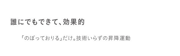 ドリーム プロイデア スリムルームステッパー 0070-2331 1台