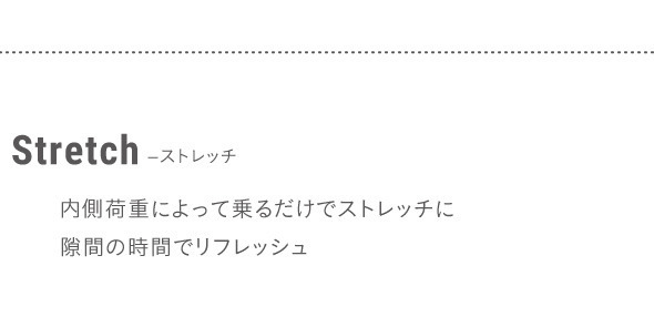 ドリーム プロイデア スリムルームステッパー 0070-2331 1台