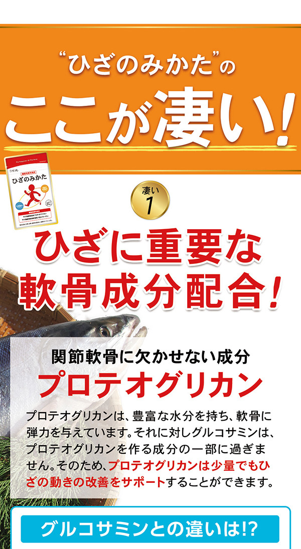 リフレ(サプリ) リフレ ひざのみかた 2袋組 3223-2 1袋(31粒 リフレ(サプリ) リフレ ひざのみかた 2袋組 3223-2 1袋(31粒