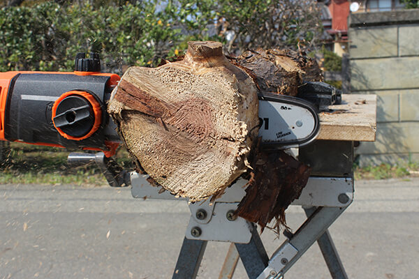 YARD FORCE（ヤードフォース） 高枝切り電動チェーンソー Vmax ES-N25A