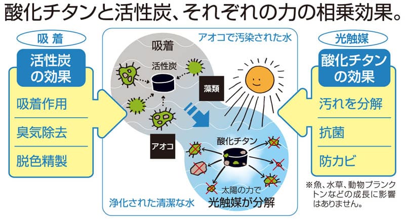 ゴトウ アオコ除去材 ココスクリア 6個組 浮輪付き