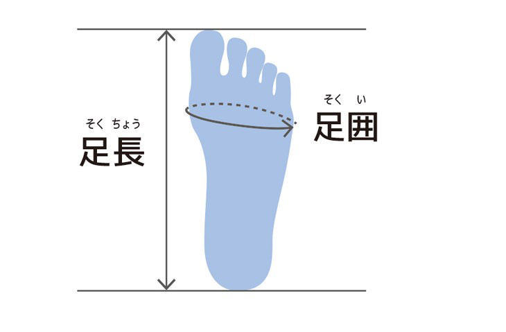 足長・足囲の測り方の図