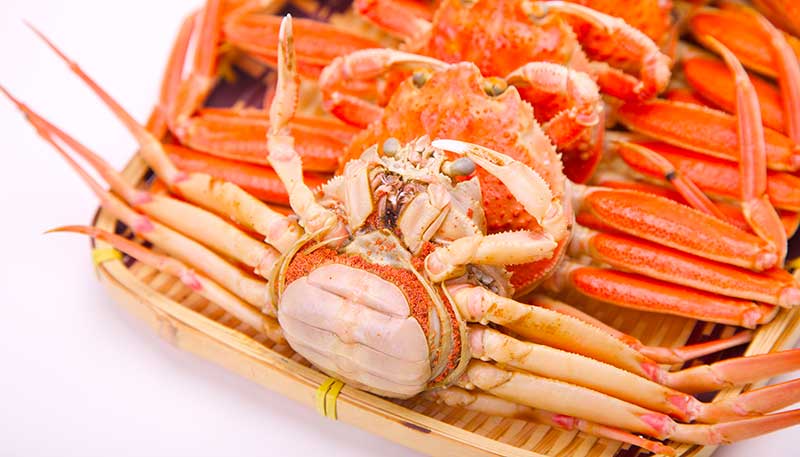 【訳あり】 アイブリッジ 兵庫県香住産 セコガニ