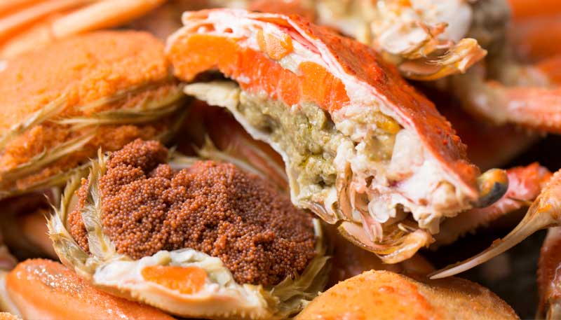 【訳あり】 アイブリッジ 兵庫県香住産 セコガニ