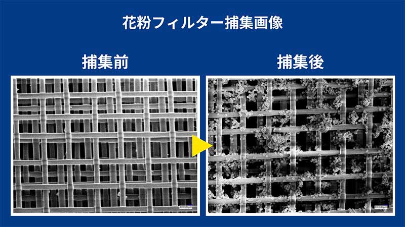 カルテック KALTECH パーソナル除菌脱臭機 MY AIR ファイテンモデル