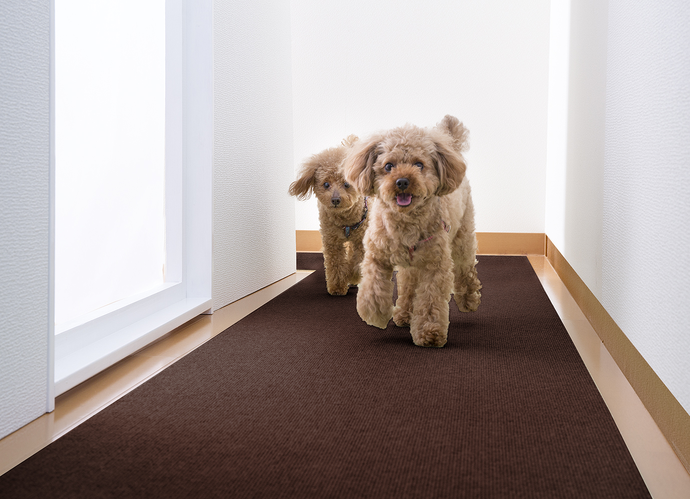 サンコー 廊下用 カーペット ロング マット ペット 60×300cm 敷き 犬