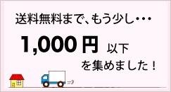 1000円以下