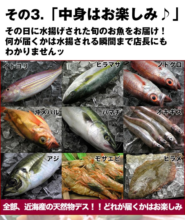 送料無料]店長入魂「お得意様満足」日本海鮮魚の福袋 [当店人気No.1 中身はおまかせの鮮魚セット] :otamesi3500:日本海 鮮魚とカニの店  三光水産 - 通販 - Yahoo!ショッピング