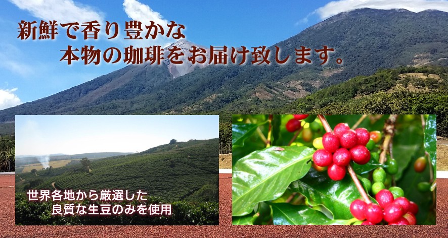タイトル画像