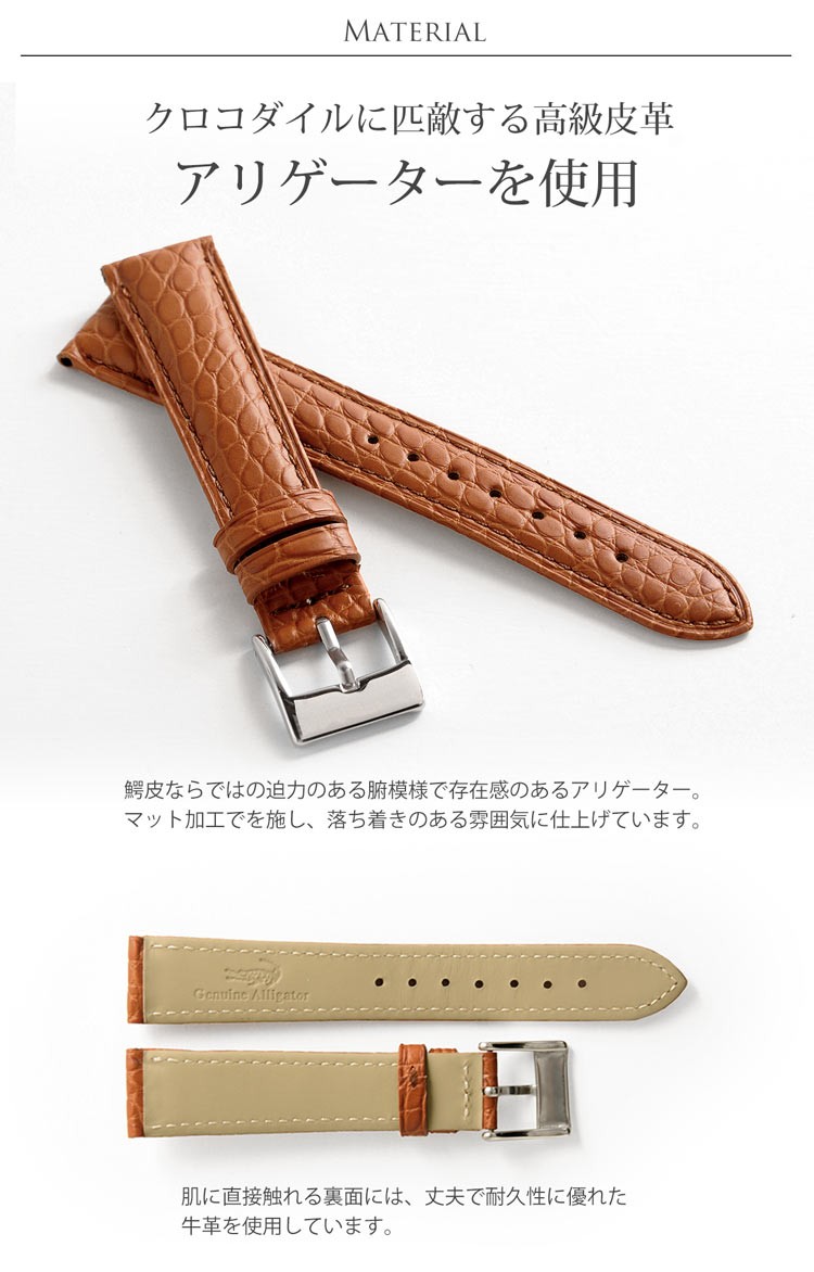 腕時計 付け替え用 ベルト 本革 メンズ アリゲーター 鰐皮 20mm 男