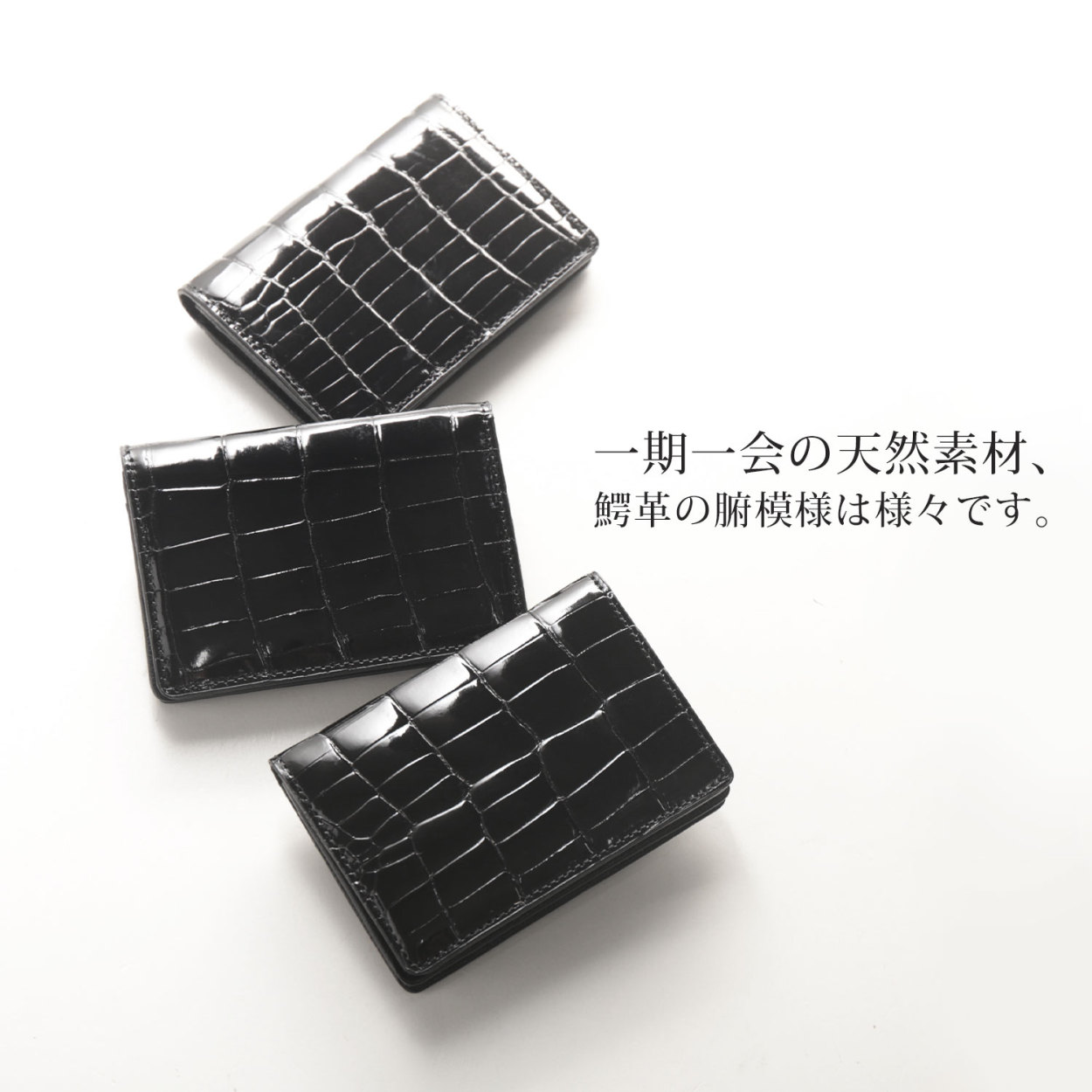 クロコダイル メンズ 名刺入れ シャイニング マット アウトポケット