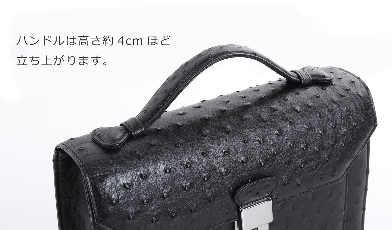オーストリッチ メンズ セカンドバッグ ダイヤルロック式 日本製 27cm