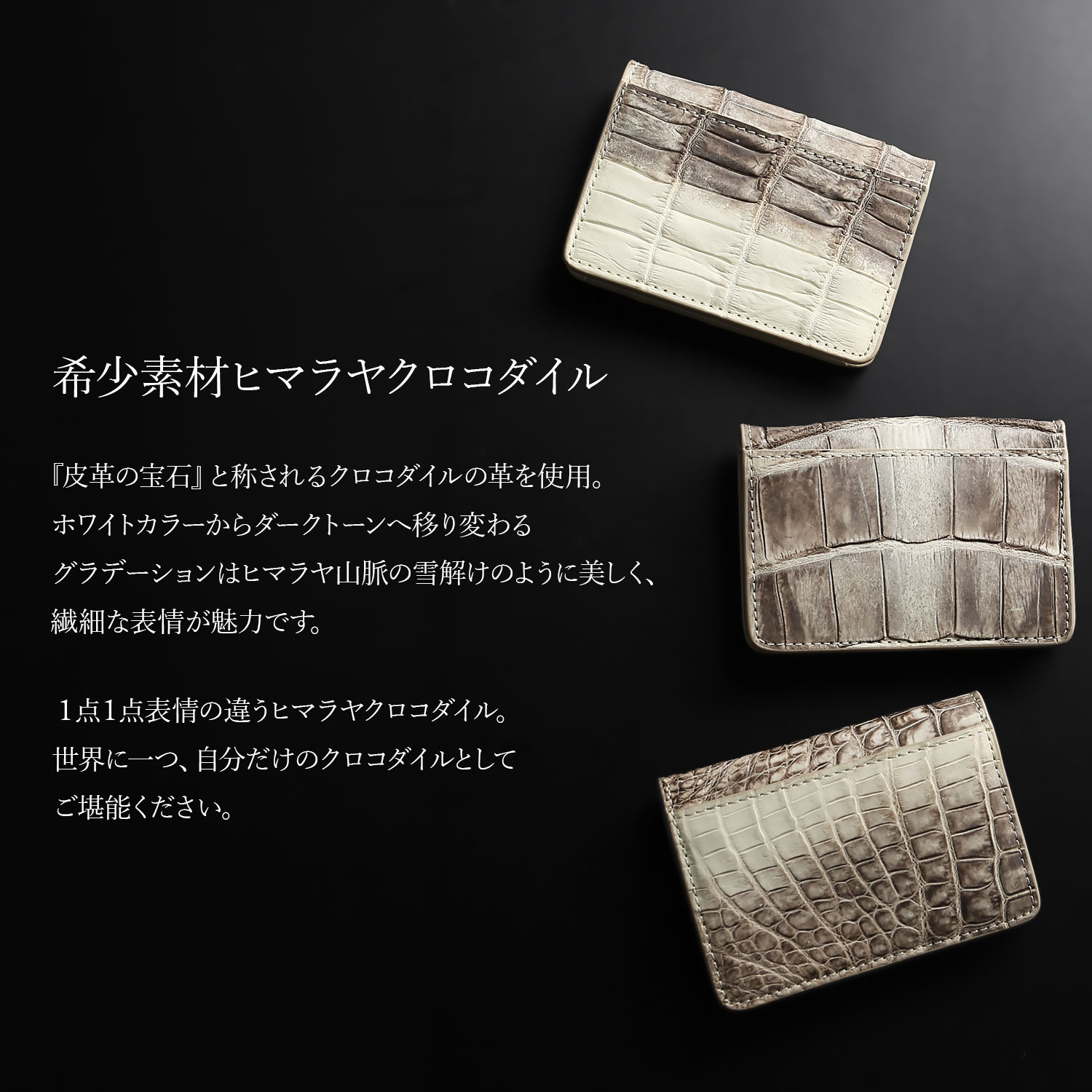 sankyo shokai(三京商会) ヒマラヤクロコダイル ボックス型 小銭入れ sankyo shokai(三京商会) ヒマラヤクロコダイル ボックス型 小銭入れ