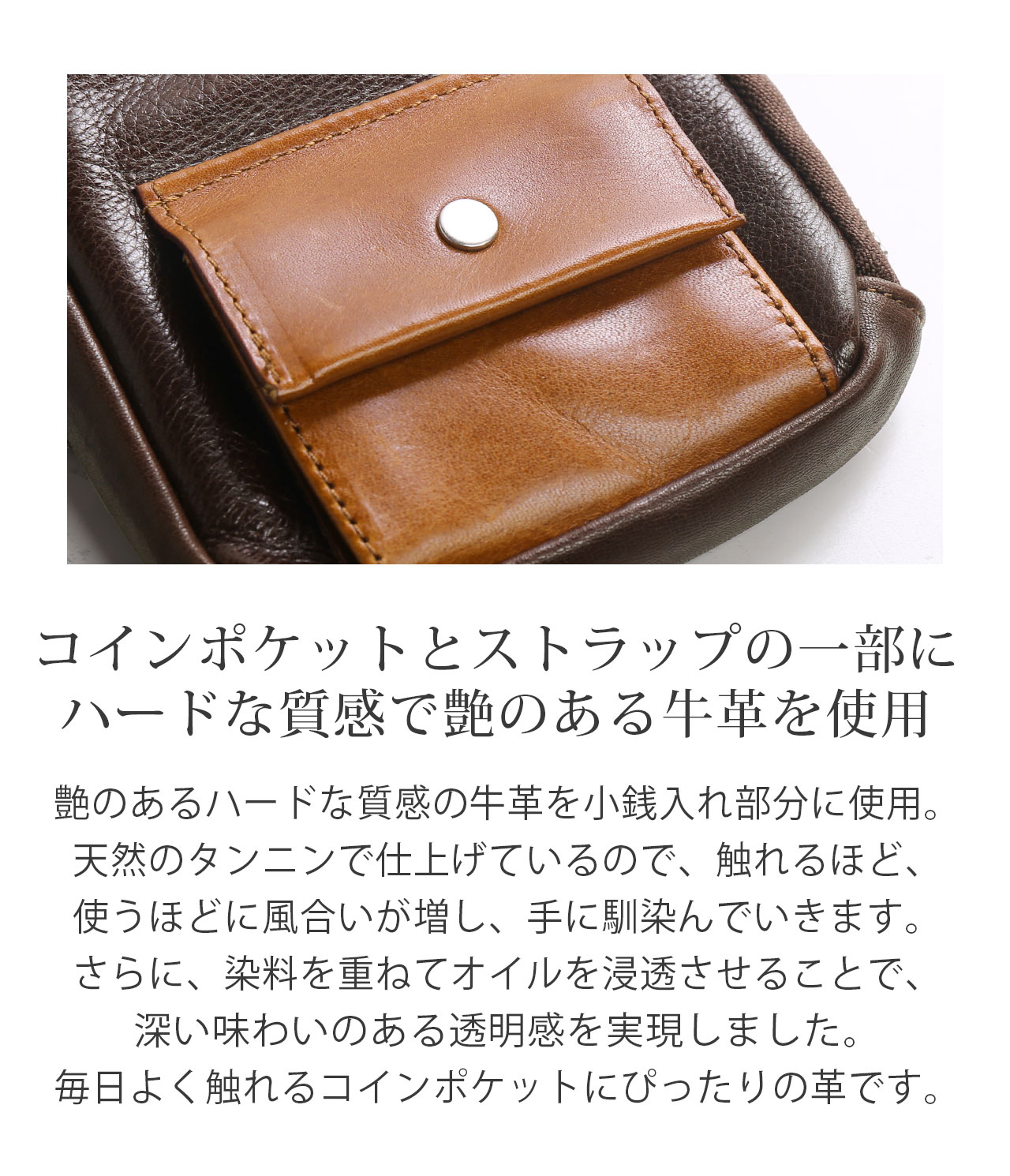 ted　MM6 レザーネックウォレット Jamale（ジャマレ） ネックウォレット メンズ 本革 カードが飛び出す