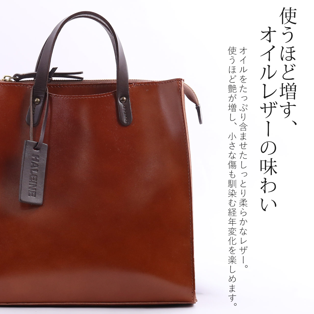 ゴールドファイル ダレス 901506 ドクターズレザービジネスバッグ 中古