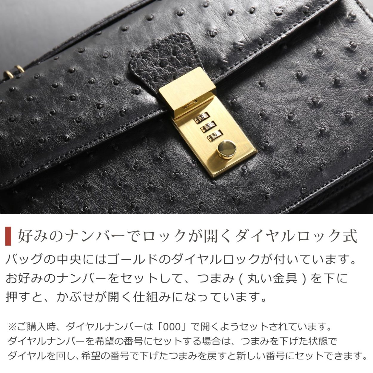オーストリッチ メンズ セカンドバッグ ダイヤルロック式 日本製 フル オーストリッチ メンズ セカンドバッグ ダイヤルロック式 日本製 フル