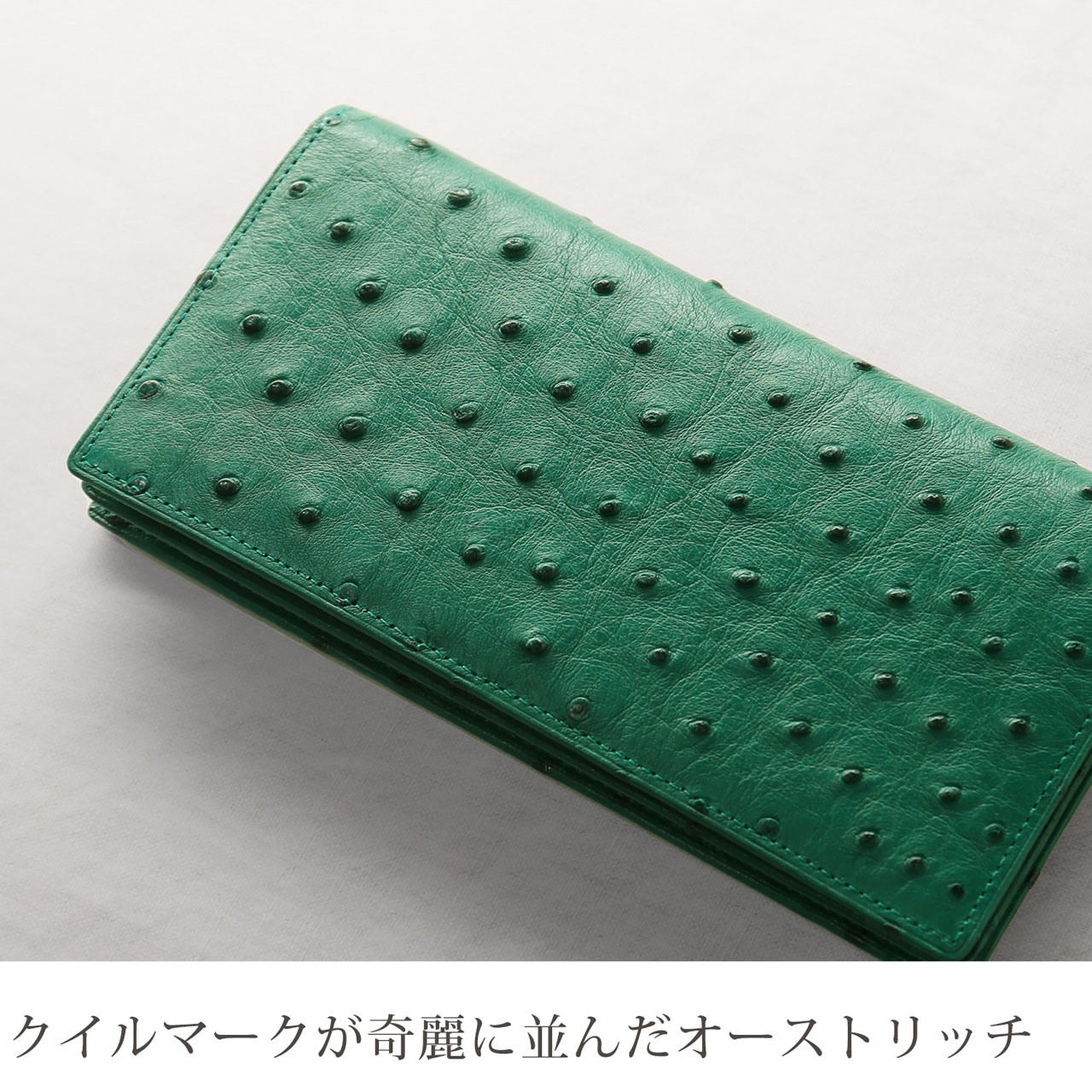 ほぼ未使用　激レア　WILDSWANS ノーマ　オーストリッチ　フルポイント 爆買 オーストリッチ メンズ 長財布 日本製 フルポイント 薄型