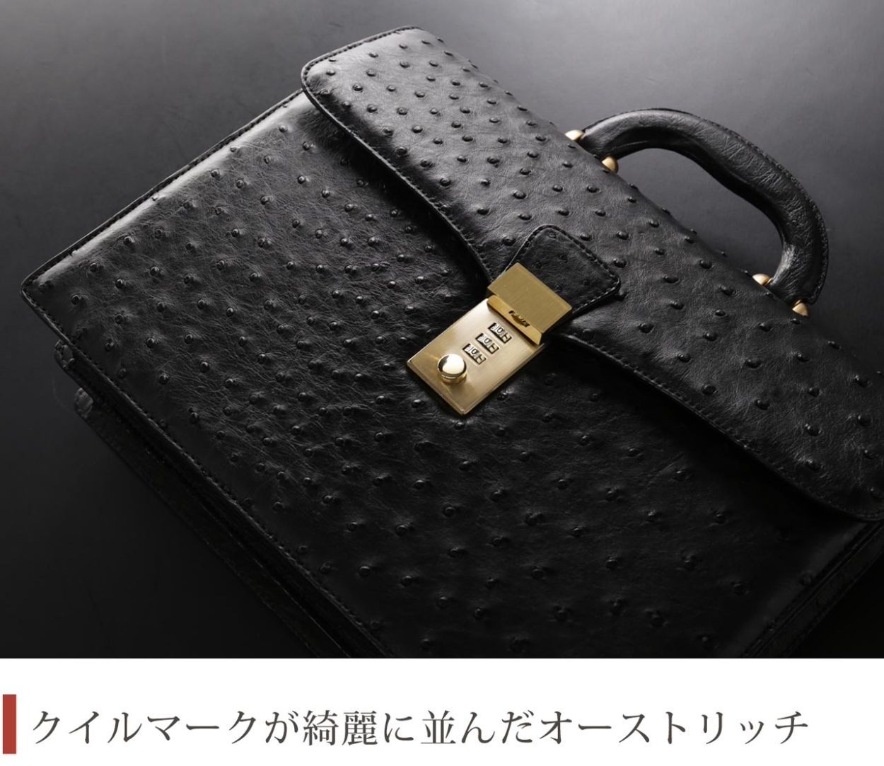 オーストリッチ メンズ バッグ 32cm ダイヤルロック フルポイント 日本