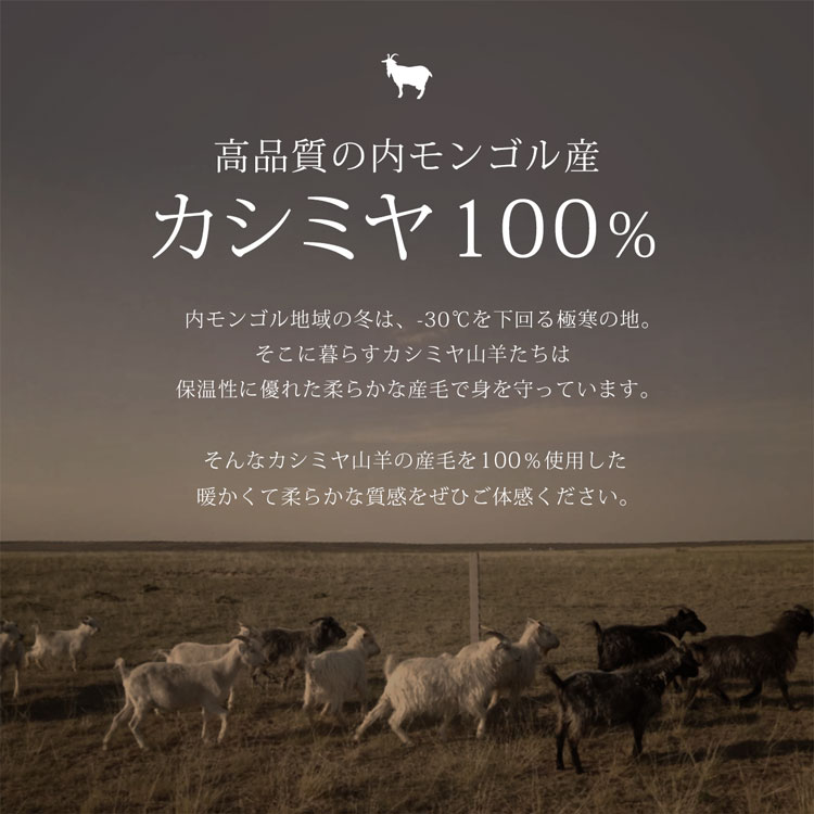 カシミヤ 繊維の宝石