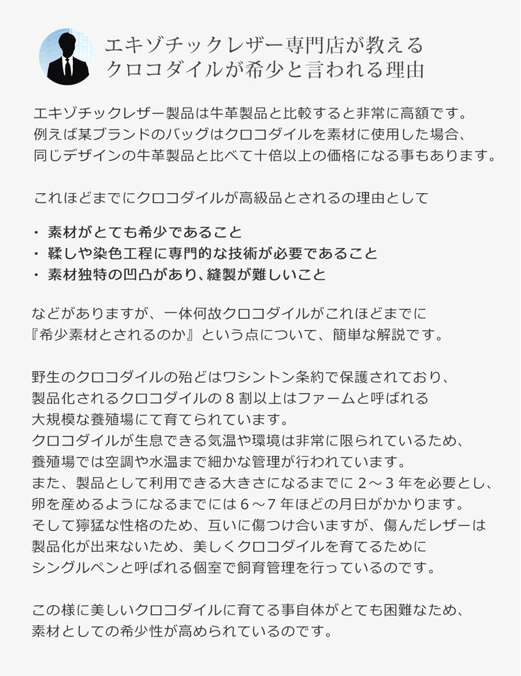 クロコダイル セカンドバッグ メンズ 3WAY 多機能 バッグ マット加工 メタル ファスナー 全5色 本革 ラウンドファスナー クラッチバッグ(06001143-mens-1r)の画像
