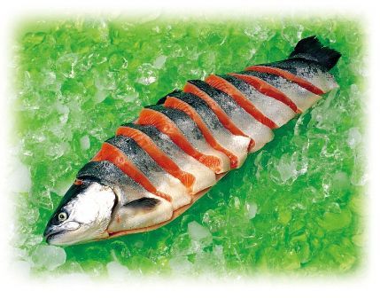 銀鮭～Super Salmon