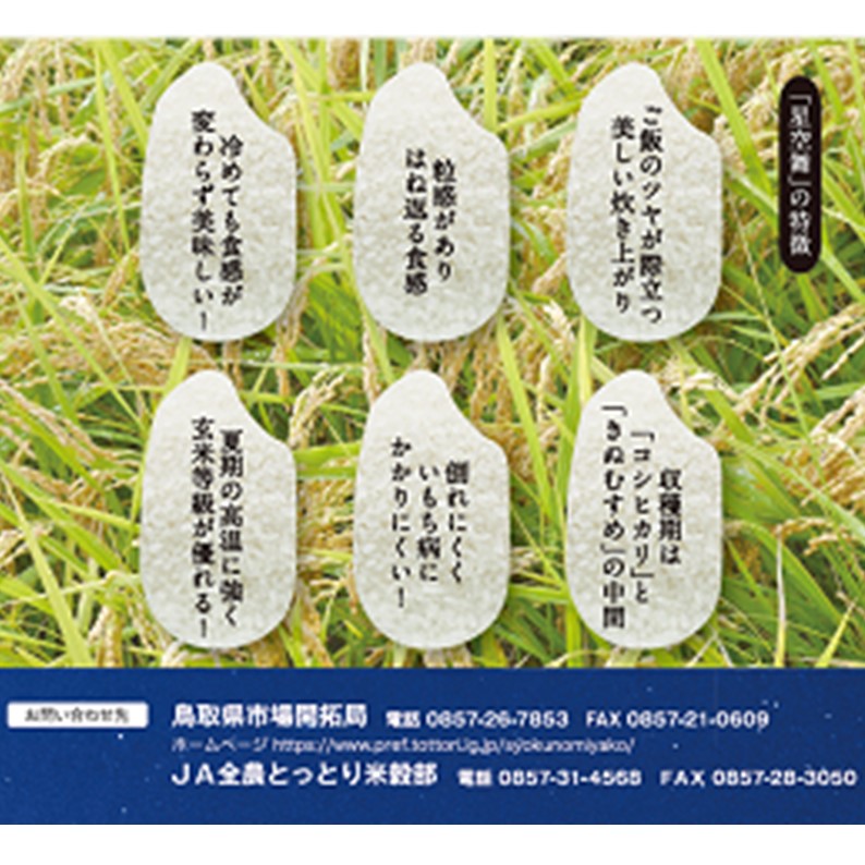 星空舞キューブ(2合)】岩崎米穀 山陰 鳥取 星取県 星空舞 キューブ 2合